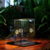 Handmade Close Glass Terrarium With Vents, With LED Grow Light Set, FOR Insects, Bugs -Terrarium Plant Hub 01