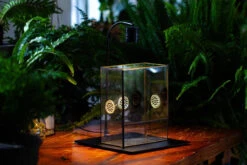 Handmade Close Glass Terrarium With Vents, With LED Grow Light Set, FOR Insects, Bugs -Terrarium Plant Hub 02