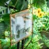 Handmade Large Wall Hanging Pure Copper Glass Artwork Certificate Photo Display Floating Frame -Terrarium Plant Hub 09748