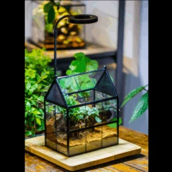 NCYP Handmade 5' 20" A3 A4 Large Tabletop Wall Hanging Natural Wood Acrylic Artwork Floating Frame -Terrarium Plant Hub 1