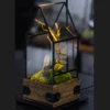Handmade Glass Terrarium With Wood Base, House Shape Planter With Door, With LED Acrylic Lamp Base For Plants, Moss Landscapes, Plant Lover Gift 2 Handmade Glass Terrarium With Wood Base, House Shape Planter With Door, With LED Acrylic Lamp Base For Plants, Moss Landscapes, Plant Lover Gift -Terrarium Plant Hub 111