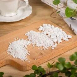 Decorative White Pebble Rocks For Succulents Top Dressing, For Terrarium, Fairy Gardening -Terrarium Plant Hub 1508