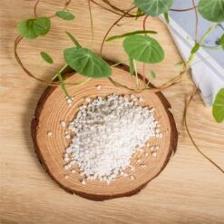 Decorative White Pebble Rocks For Succulents Top Dressing, For Terrarium, Fairy Gardening -Terrarium Plant Hub 1962