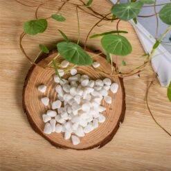 Decorative White Pebble Rocks For Succulents Top Dressing, For Terrarium, Fairy Gardening -Terrarium Plant Hub 1981