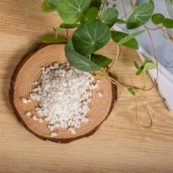 Decorative White Pebble Rocks For Succulents Top Dressing, For Terrarium, Fairy Gardening -Terrarium Plant Hub 1992