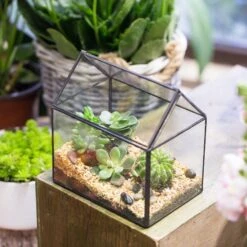 NCYP Vintage House Geometric Terrarium Tin Sealed Chest Planter Succulent Centerpiece Wedding -Terrarium Plant Hub 20150620005 12