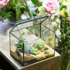 NCYP Vintage House Geometric Terrarium Tin Sealed Chest Planter Succulent Centerpiece Wedding -Terrarium Plant Hub 20150620005 13