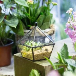 Modern Succulent Plant Glass Geometric Container Desktop Flower Pot For Succulents Flower -Terrarium Plant Hub 20151226004 1