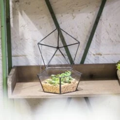 Modern Succulent Plant Glass Geometric Container Desktop Flower Pot For Succulents Flower -Terrarium Plant Hub 20151226004 11