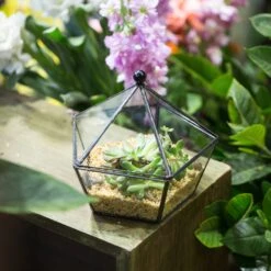 Modern Succulent Plant Glass Geometric Container Desktop Flower Pot For Succulents Flower -Terrarium Plant Hub 20151226004 3