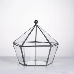 Modern Succulent Plant Glass Geometric Container Desktop Flower Pot For Succulents Flower -Terrarium Plant Hub 20151226004 7