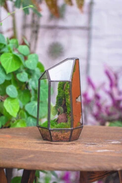 Rain Forest Sticky Red Clay For DIY Moss Wall, Plant Moss / Plants On The Wall, Vertical Landscape, Vivarium, Terrarium -Terrarium Plant Hub 20160218002 25