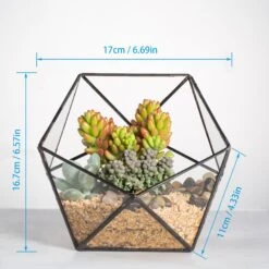 Handmade Bowl Shape Geometric Glass Terrarium Pot For Plants Succulent Moss Miniature Airplants -Terrarium Plant Hub 20160218031 5