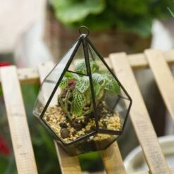 Handmade Artistic Hanging Glass Teardrop Diamond Geometric Terrarium With Loop For Succulent Moss -Terrarium Plant Hub 20160220005 S 0 12