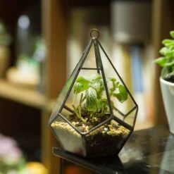 Handmade Artistic Hanging Glass Teardrop Diamond Geometric Terrarium With Loop For Succulent Moss -Terrarium Plant Hub 20160220005 S 0 13