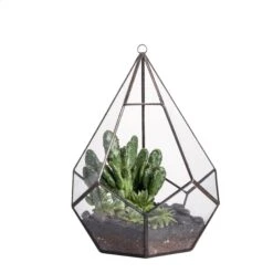 Handmade Artistic Hanging Glass Teardrop Diamond Geometric Terrarium With Loop For Succulent Moss -Terrarium Plant Hub 20160220005 m 0 16