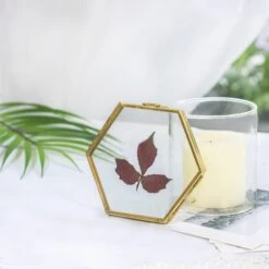 Handmade Vintage Brass Floating Hanging Glass Hexagon Picture Photo Frame Small Side Length 2" 18 Handmade Vintage Brass Floating Hanging Glass Hexagon Picture Photo Frame Small Side Length 2" -Terrarium Plant Hub 20161018015 6