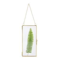 NCYP 4x9 Inchs Clear Glass Picture Frame Wall Hanging Certificate Photo Plant Specimen Clip -Terrarium Plant Hub 20180129001 1600