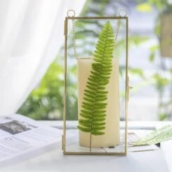 NCYP 4x9 Inchs Clear Glass Picture Frame Wall Hanging Certificate Photo Plant Specimen Clip -Terrarium Plant Hub 20180129001 3