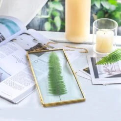 NCYP 4x9 Inchs Clear Glass Picture Frame Wall Hanging Certificate Photo Plant Specimen Clip -Terrarium Plant Hub 20180129001 4