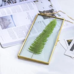 NCYP 4x9 Inchs Clear Glass Picture Frame Wall Hanging Certificate Photo Plant Specimen Clip -Terrarium Plant Hub 20180129001 5