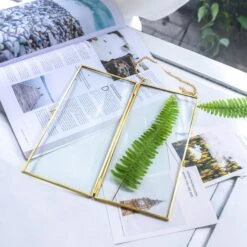 NCYP 4x9 Inchs Clear Glass Picture Frame Wall Hanging Certificate Photo Plant Specimen Clip -Terrarium Plant Hub 20180129001 7