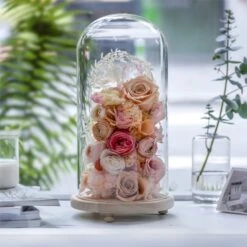 Handmade Glass Dome With LED Light Wood Base Cloche Bell Round For Rose Model Figurine Flowers 15 Handmade Glass Dome With LED Light Wood Base Cloche Bell Round For Rose Model Figurine Flowers -Terrarium Plant Hub 20190227011 13