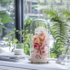 Handmade Glass Dome With LED Light Wood Base Cloche Bell Round For Rose Model Figurine Flowers 12 Handmade Glass Dome With LED Light Wood Base Cloche Bell Round For Rose Model Figurine Flowers -Terrarium Plant Hub 20190227011 5