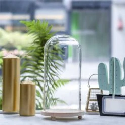 Handmade Glass Dome With LED Light Wood Base Cloche Bell Round For Rose Model Figurine Flowers 14 Handmade Glass Dome With LED Light Wood Base Cloche Bell Round For Rose Model Figurine Flowers -Terrarium Plant Hub 20190227011 9