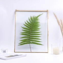 Handmade Large Wall Hanging Brass Glass Artwork Certificate Photo Picture Display Floating Frame -Terrarium Plant Hub 20190227117 8