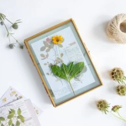 Handmade Tabletp Brass Glass Photo Picture Display Folding Screen Type Frame 3-Folded 5" X 7" -Terrarium Plant Hub 20190315009 1
