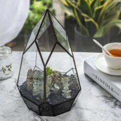NCYP Irregular Open Geometric Glass Terrarium For Succulents Planter Pot Dessert Landscape Bonsai -Terrarium Plant Hub 20190315012 1