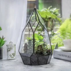NCYP Irregular Open Geometric Glass Terrarium For Succulents Planter Pot Dessert Landscape Bonsai -Terrarium Plant Hub 20190315012 2