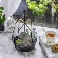NCYP Irregular Open Geometric Glass Terrarium For Succulents Planter Pot Dessert Landscape Bonsai -Terrarium Plant Hub 20190315012 7