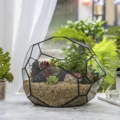 NCYP Irregular Open Geometric Glass Terrarium Bubble Shape For Succulents Landscape Bonsai