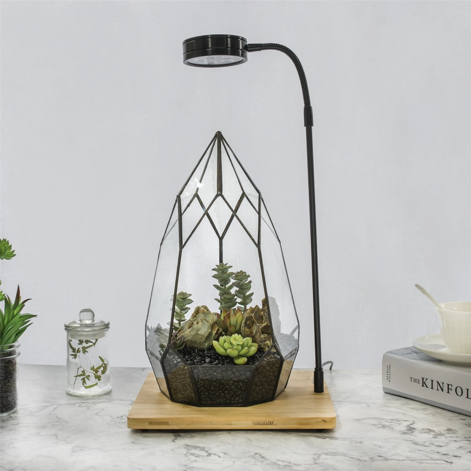 NCYP Tabletop Board USB LED Succulents Grow Light Display Indoor Terrarium For Succulents Moss 6 NCYP Tabletop Board USB LED Succulents Grow Light Display Indoor Terrarium For Succulents Moss - Image 4