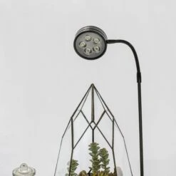 NCYP Tabletop Board USB LED Succulents Grow Light Display Indoor Terrarium For Succulents Moss 19 NCYP Tabletop Board USB LED Succulents Grow Light Display Indoor Terrarium For Succulents Moss -Terrarium Plant Hub 20190508002 4 573d1f96 9e8a 4219 ac07 d5b4911ca8d9