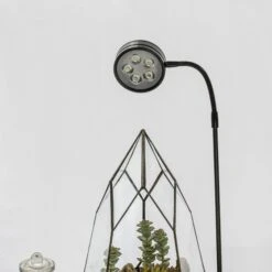 NCYP Tabletop Natural Wood Board LED Succulents Grow Light Display Indoor 2prong 7W For Geometric Glass Terrarium Succulent Fern Bonsai -Terrarium Plant Hub 20190508002 4 d67361da 19e5 48b5 b24f ae8ffc2363d3