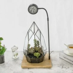 NCYP Tabletop Natural Wood Board LED Succulents Grow Light Display Indoor 2prong 7W For Geometric Glass Terrarium Succulent Fern Bonsai -Terrarium Plant Hub 20190508002 5 27520602 b8c0 4916 a0bd 98b0790d1099
