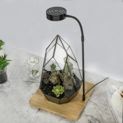 NCYP Tabletop Board USB LED Succulents Grow Light Display Indoor Terrarium For Succulents Moss 24 NCYP Tabletop Board USB LED Succulents Grow Light Display Indoor Terrarium For Succulents Moss -Terrarium Plant Hub 20190508002 7