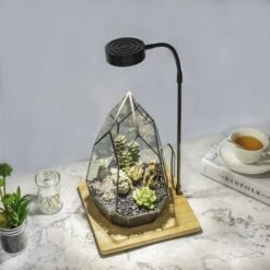 NCYP Tabletop Board USB LED Succulents Grow Light Display Indoor Terrarium For Succulents Moss 23 NCYP Tabletop Board USB LED Succulents Grow Light Display Indoor Terrarium For Succulents Moss -Terrarium Plant Hub 20190508002 8