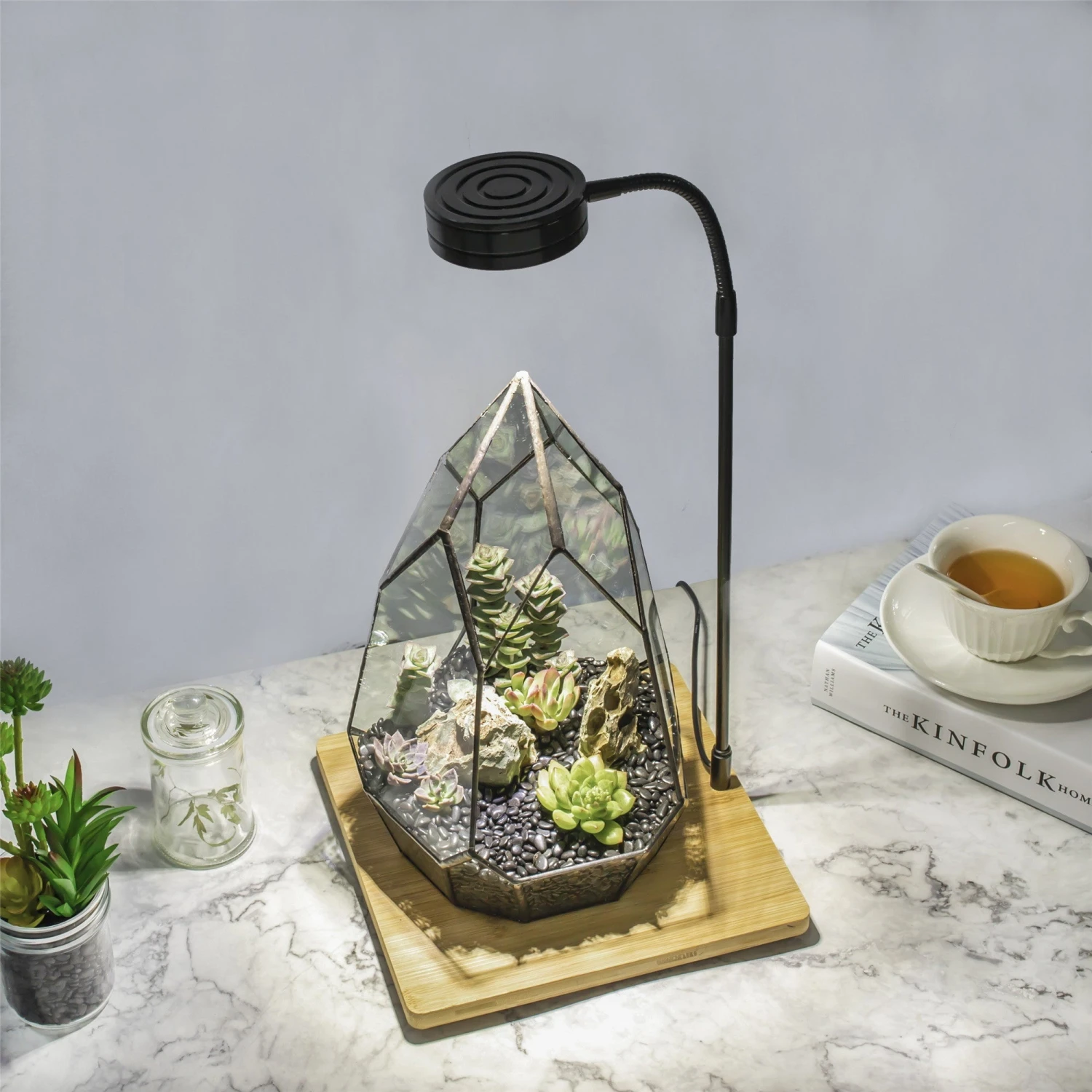 NCYP Tabletop Board USB LED Succulents Grow Light Display Indoor Terrarium For Succulents Moss 9 NCYP Tabletop Board USB LED Succulents Grow Light Display Indoor Terrarium For Succulents Moss - Image 7
