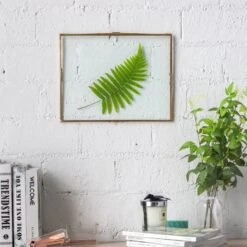 Custommade Order For Mhamdan 9x11" Brass And Double Glass Frame， 4 Units -Terrarium Plant Hub 20190619001 4