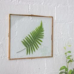 Handmade Copper Brass Wall Glass Frame With Hanging Stand Hook For Dried Flowers Specimen Clip -Terrarium Plant Hub 20190619001 5 1