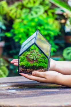 Handmade Glass And Tin Close Mini House Shape Close Terrarium For Moss, Succulents, Drosera -Terrarium Plant Hub 20190621011 10