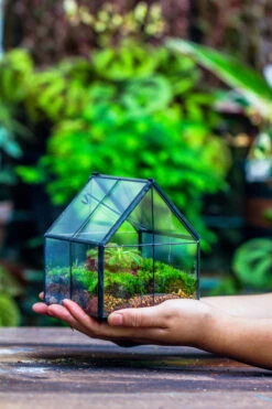 Handmade Glass And Tin Close Mini House Shape Close Terrarium For Moss, Succulents, Drosera -Terrarium Plant Hub 20190621011 12
