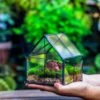 Handmade Glass And Tin Close Mini House Shape Close Terrarium For Moss, Succulents, Drosera -Terrarium Plant Hub 20190621011 13
