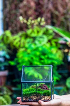 Handmade Glass And Tin Close Mini House Shape Close Terrarium For Moss, Succulents, Drosera -Terrarium Plant Hub 20190621011 15