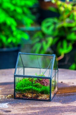 Handmade Glass And Tin Close Mini House Shape Close Terrarium For Moss, Succulents, Drosera -Terrarium Plant Hub 20190621011 16