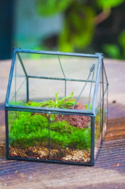 Handmade Glass And Tin Close Mini House Shape Close Terrarium For Moss, Succulents, Drosera -Terrarium Plant Hub 20190621011 17